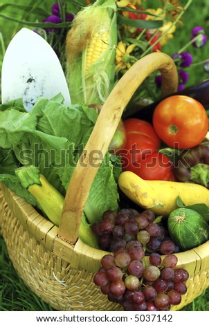 Wicker basket filled with fruits, vegetables and flower fresh from the garden
