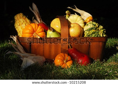 Vintage wooden fruit basket filled with autumn fruits and vegetables outdoors in sunlight