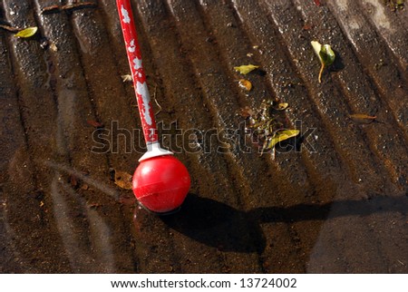 Blind person\'s white cane in a puddle at a curb cut