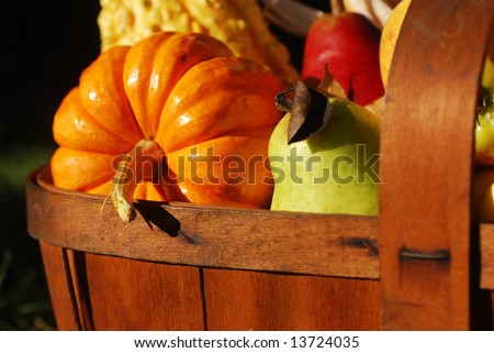 Vintage wooden fruit basket filled with autumn fruits and vegetables outdoors in sunlight