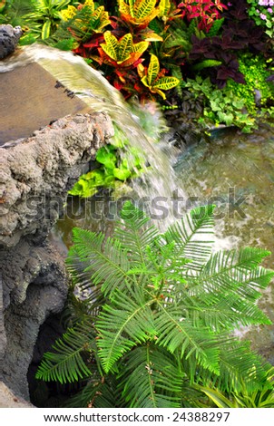 Young fir tree and waterfall in home backyard garden