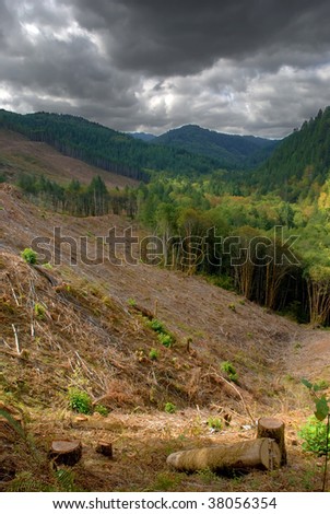 Clear cut logging operations in stormy Oregon mountain valley