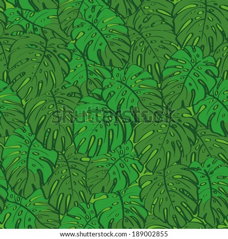 Seamless background, pattern of green monstera plant leaves.