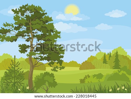 Summer landscape with pine and fir trees, bushes, flowers, grass, sun and blue sky.