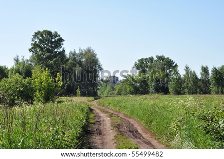 Summer landscape of the Central Russia, Moscow area