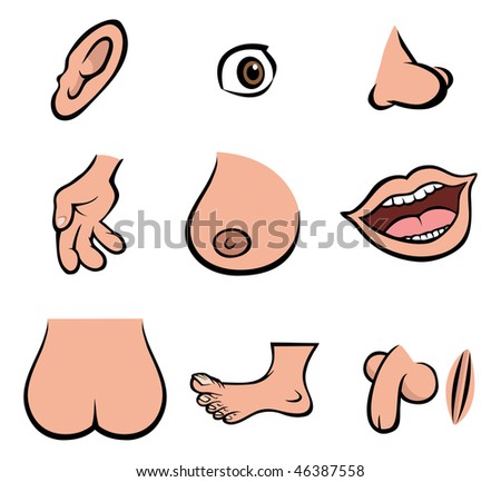 human body parts. Cartoon human body parts