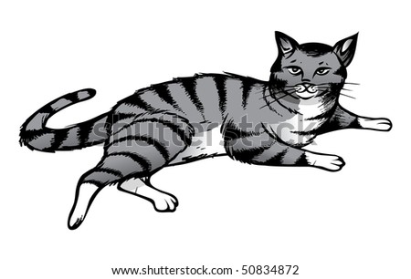 Grayscale Cat