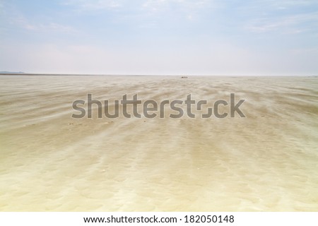 Moving sand on a windy beach