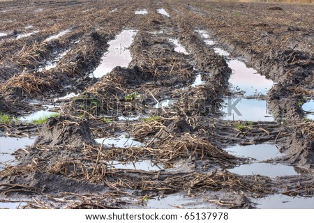 Wet arable land