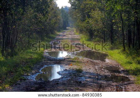Path with puddles after rain