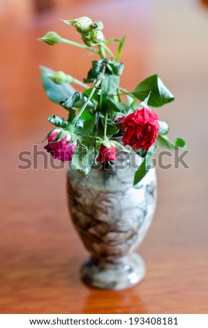 wilted rose in a vase