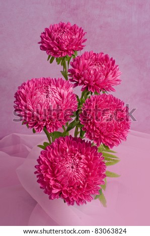 Cheerful bouquet in vase with red and pink Dahlias