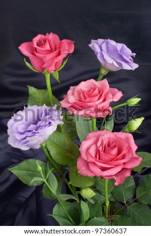 Bouquet of roses on the black background
