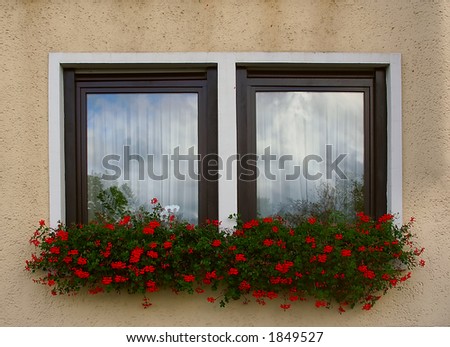 Red flowers in window boxes beneath windows on the front of a house.