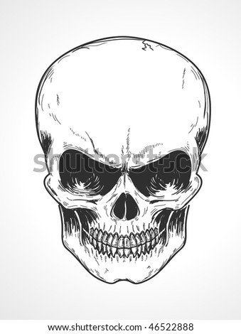 human skull pictures. of detailed human skull