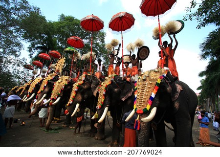 THRISSUR, INDIA - MAY 12 : Decorated elephants stand in line for procession at Thrissur Pooram on May 12, 2011 in Thrissur, India. Thrissur Pooram is the most popular elephant festival in India.