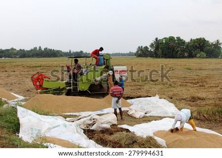 ALLEPPEY, INDIA - APR 03 : Unidentified farmers engage in the post harvest jobs using a harvester machine in the rice fields in April 03, 2015 in the Kuttanad region in Alleppey, Kerala, India