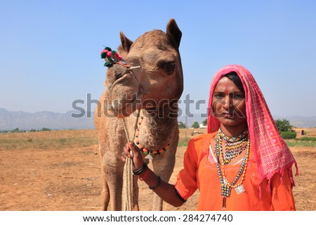 PUSHKAR, INDIA - NOV 19: An unidentified village woman with her newly bought camel in Pushkar Fair on November 19, 2010 in Pushkar, India. Camels are the top selling livestock in the Pushkar Fair.