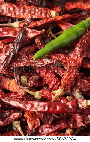 A conceptual shot of a single green chilly on top of red chillies