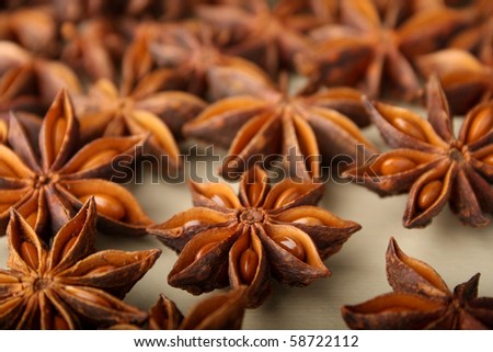 Closeup shot of spice ingredient Aniseeds with shallow depth of field