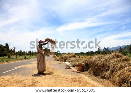 SENGOTTAI, INDIA - SEP 25 : An agricultural worker woman engaged in the winnowing job along the road side September 25, 2010 in Sengottai, Tamilnadu, India.