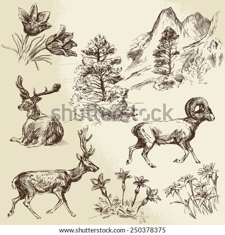 wild nature, forest and mountains - hand drawn illustration