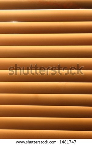 Wooden blinds, with the sun shining through