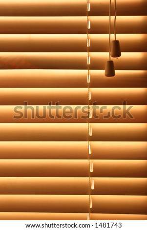 Wooden blinds, with the sun shining through