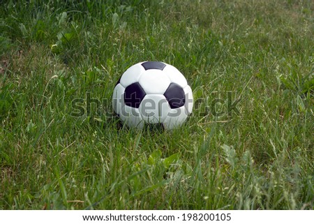 White and black ball for playing soccer lays in high green grass outdoor closeup view