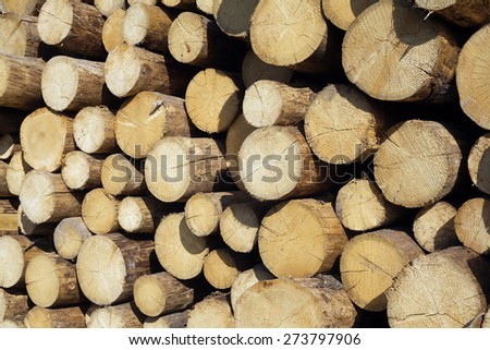 Many sawed pine logs stacked in a pile over clear blue sky horizontal front view closeup