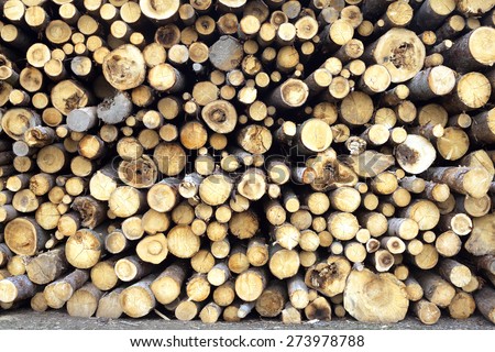 Many bad condition sawed pine logs stacked in a pile front view closeup
