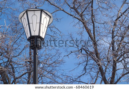 Lantern in front frozen trees on blue sky