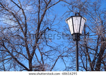 Lantern in front of frozen trees on blue sky