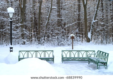 Green benches and lantern in front of winter forest
