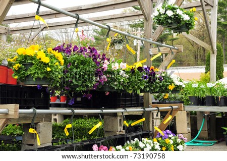 Plants and flowers on display at a garden center