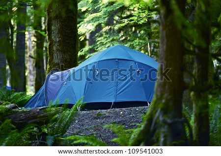 Tent Camping. Large Blue Tent in a Middle of Forest. Outdoor and Recreation Photo Collection. Washington State Forest.