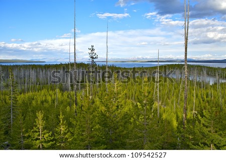 Yellowstone National Park, Wyoming USA Panoramic Photo. Lake Yellowstone, Forest and Mountains Range. Partly Cloudy Summer Sky. Nature Photo Collection. U.S. National Parks.