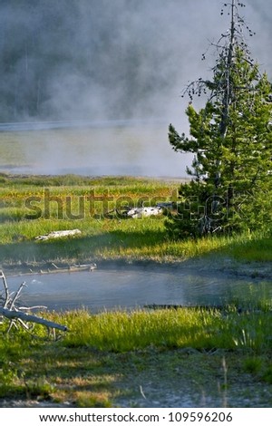 Yellowstone Wyoming - Year Round Steaming Yellowstone National Park. Nature Photo Collection.