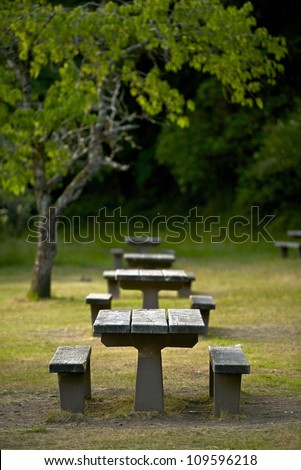 Recreation Site Wood Picnic Benches - Vertical Photo. Recreation Photo Collection.