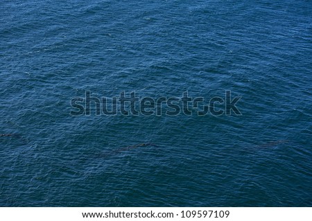 Ocean Surface Background - Dark Blue Ocean Surface. Nature Photo Backgrounds Collection.