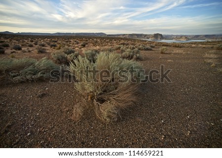 Northern Arizona - Lake Powell Desert Landscape. Arizona Desert Scenery. Nature Photo Collection.