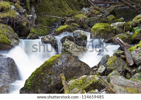 Scenic Washington State. Small Beautiful Mossy Creak in Northern Cascades National Park. Washington State Photography Collection.