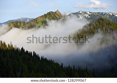 Olympic Mountains Range in Fog. Olympic National Park, Washington, USA. Pacific Northwest Photography Collection.