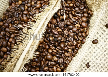 Fresh Raw Coffee Beans Closeup. Coffee Segregation.
