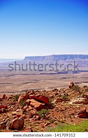 Arizona Raw Landscape. Northern Arizona Desert Landscape - Vertical Photography. Arizona, USA