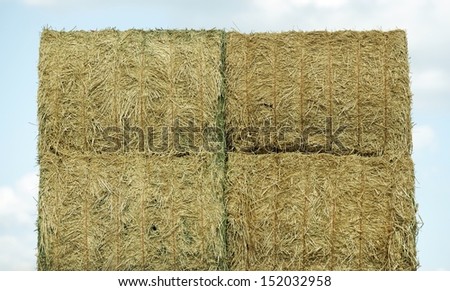 Square Bales of Hay. Agriculture Photo Collection.
