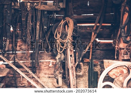 Old Barn Stuff. Vintage Barn Accessories. Leather Belts and Ropes on the Wood Wall.