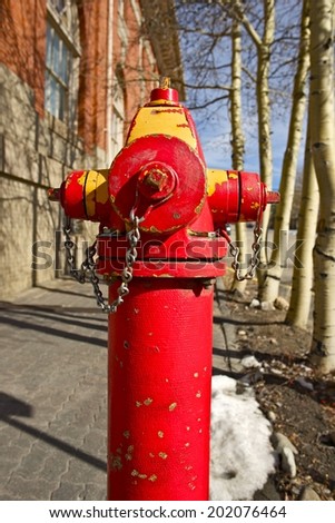 Red City Fire Hydrant Closeup Vertical Photo.