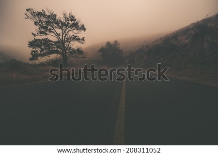 Odd Foggy Road. Creepy Mountain Road Covered by Fog.  Faded Color Grading.
