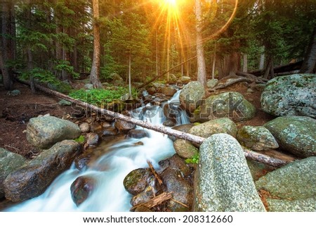 Wilderness Waterfalls with Sun Lights Between Pine Trees. Small Colorado Mountain River.